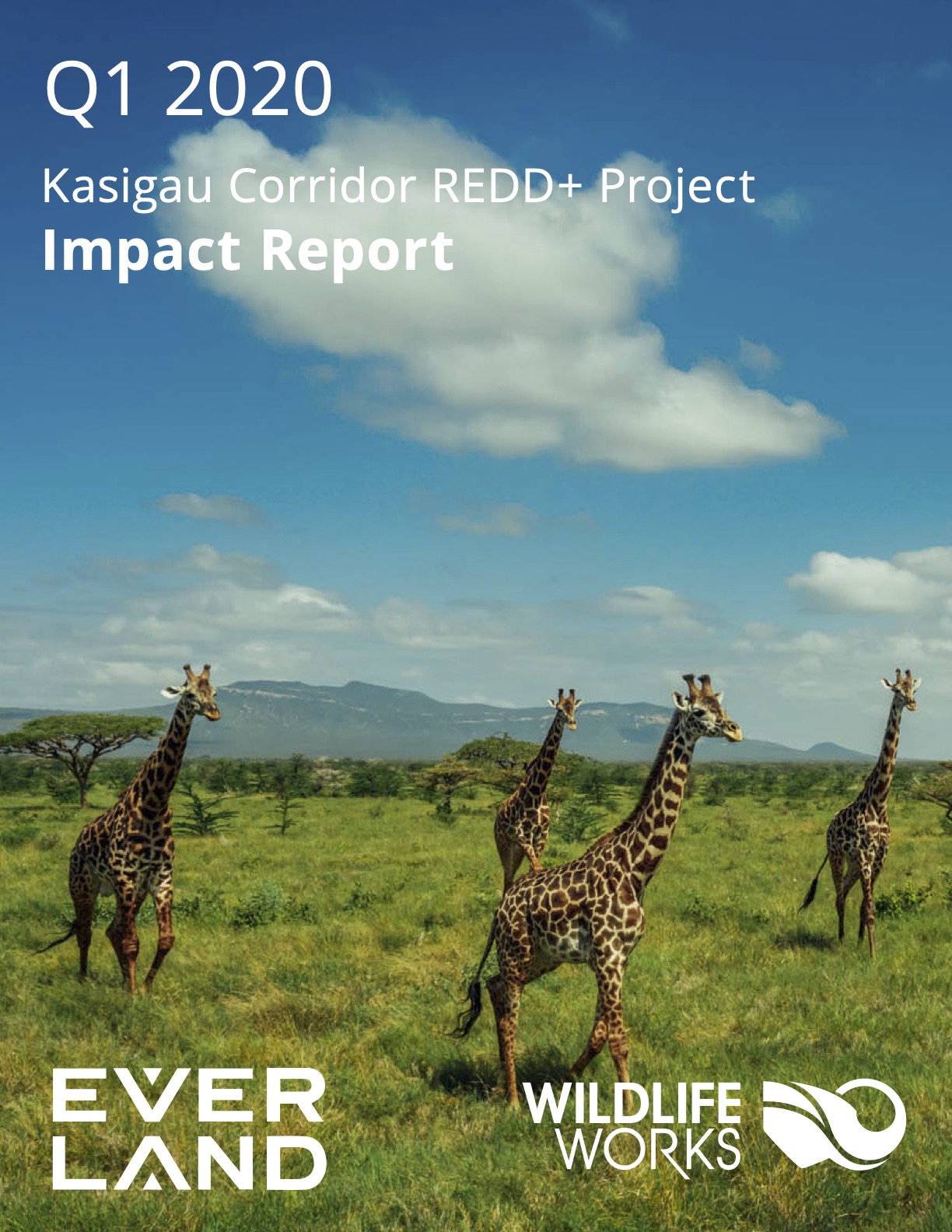 Kasigau Impact Report Q1 2020