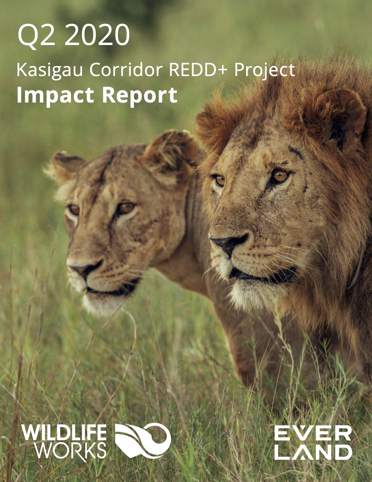 Kasigau Impact Report Q2 2020