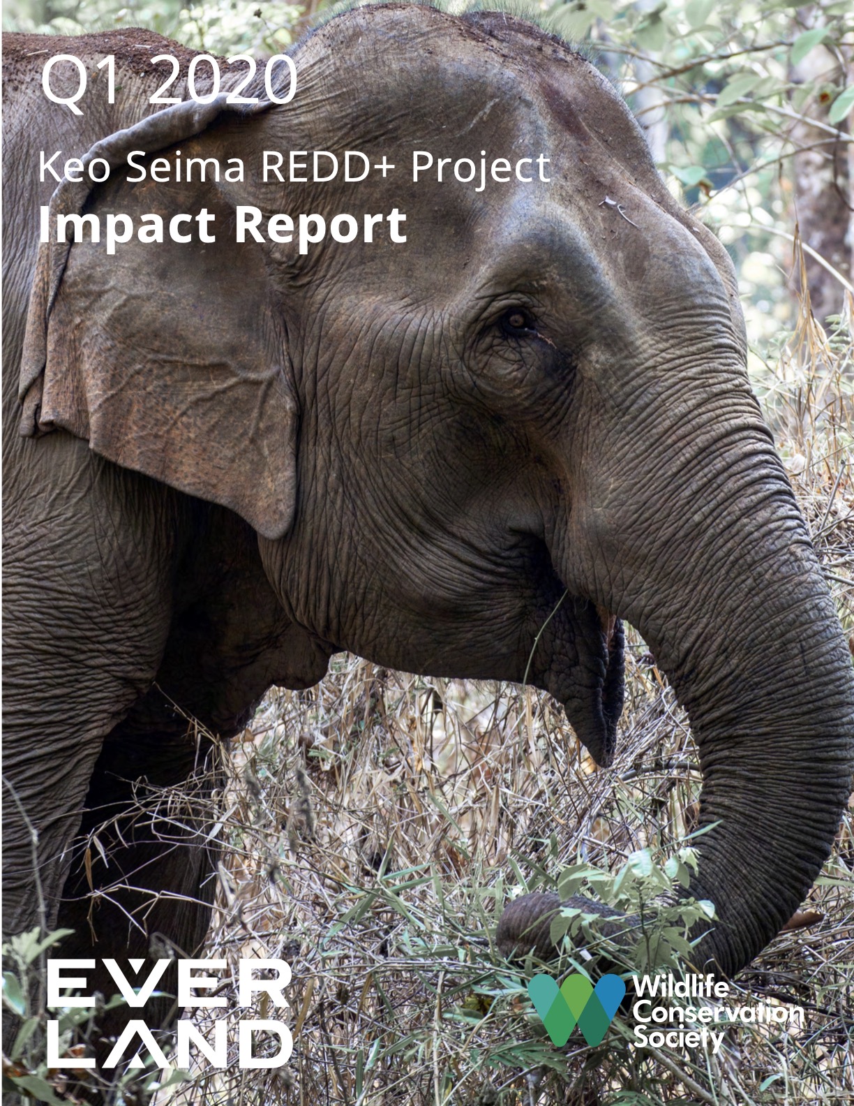 Keo Seima Impact Report Q1 2020