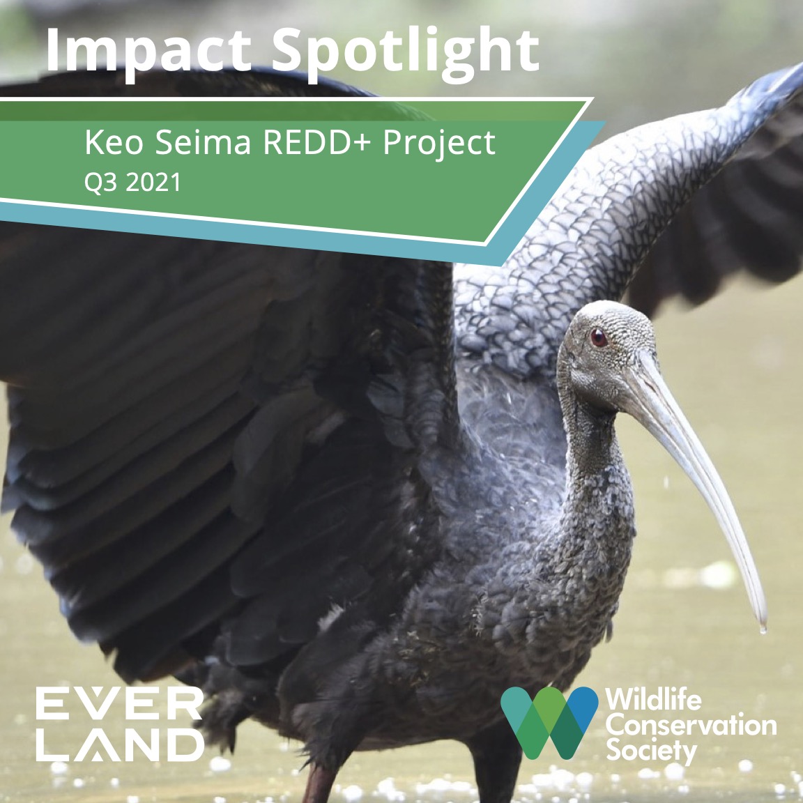 Keo Seima Spotlight Q3 2021