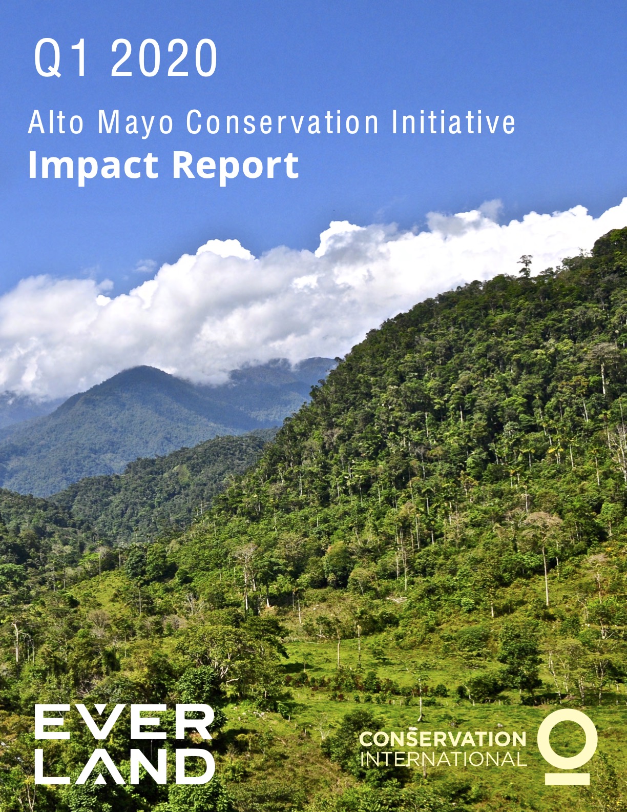 Alto Mayo Impact Report Q1 2020