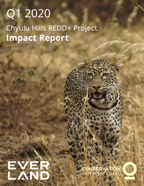 Chyulu Hills Impact Report Q1 2020