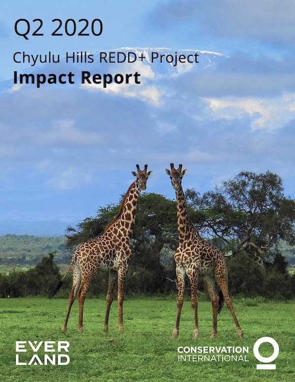 Chyulu Hills Impact Report Q2 2020
