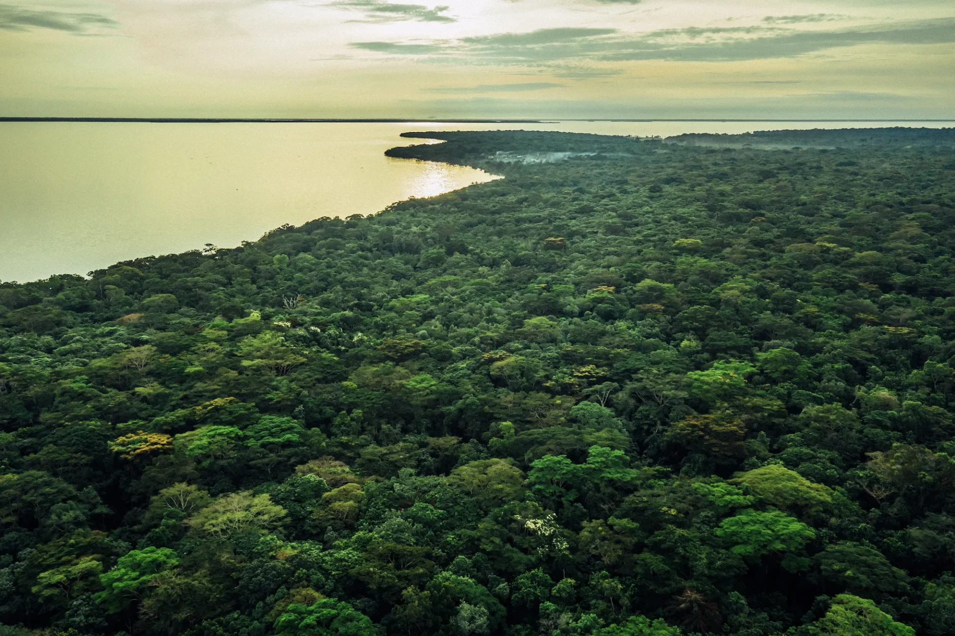 Ambitious New Plan to Scale Up REDD+ Announced